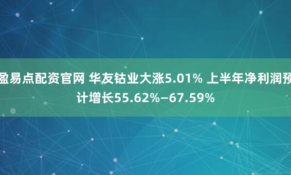 盈易点配资官网 华友钴业大涨5.01% 上半年净利润预计增长55.62%—67.59%